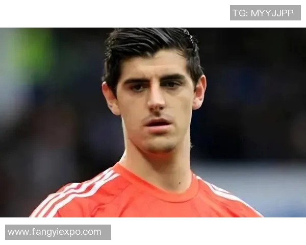 比利时足球明星的数量与成就探讨