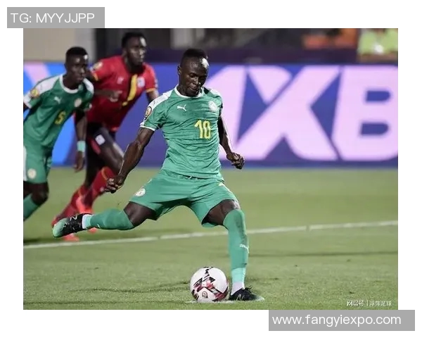 科特迪瓦足球明星盘点及其在国际赛场上的辉煌成就分析